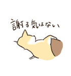 へそ天で語る柴犬（個別スタンプ：11）