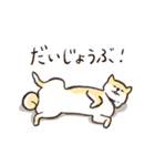 へそ天で語る柴犬（個別スタンプ：19）