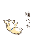 へそ天で語る柴犬（個別スタンプ：24）