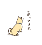 へそ天で語る柴犬（個別スタンプ：26）