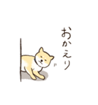 へそ天で語る柴犬（個別スタンプ：27）