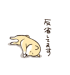 へそ天で語る柴犬（個別スタンプ：28）