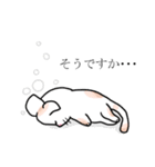 あいづちします猫（個別スタンプ：1）