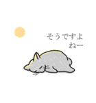 あいづちします猫（個別スタンプ：2）