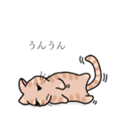あいづちします猫（個別スタンプ：3）