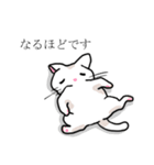 あいづちします猫（個別スタンプ：5）