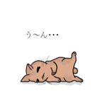 あいづちします猫（個別スタンプ：7）