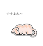あいづちします猫（個別スタンプ：8）