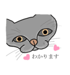 あいづちします猫（個別スタンプ：14）