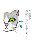 あいづちします猫（個別スタンプ：16）
