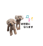 マーク＆ラム（個別スタンプ：1）
