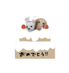 ♡かえで様（個別スタンプ：7）