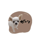 ♡かえで様（個別スタンプ：13）