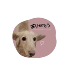 ♡かえで様（個別スタンプ：16）