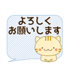 使いやすく見やすい コトラ猫（敬語/丁寧)（個別スタンプ：12）