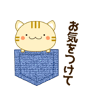 使いやすく見やすい コトラ猫（敬語/丁寧)（個別スタンプ：31）