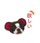 いぬやん（レオンさん）スタンプ（個別スタンプ：1）