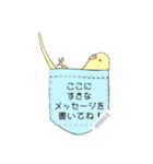 インコ メッセージスタンプ（個別スタンプ：9）