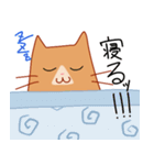 ちゃとねこ（個別スタンプ：16）