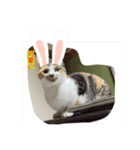 新しい年に向かって（個別スタンプ：3）