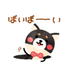 柴犬 黒しば だけど(手描きタッチ)（個別スタンプ：40）