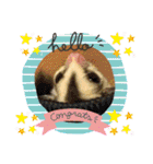 おきちゃんファミリー♡（個別スタンプ：6）
