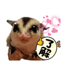 おきちゃんファミリー♡（個別スタンプ：10）