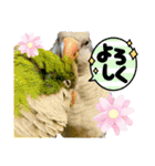 おきちゃんファミリー♡（個別スタンプ：11）