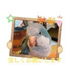 おきちゃんファミリー♡（個別スタンプ：12）