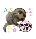 おきちゃんファミリー♡（個別スタンプ：13）