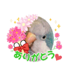 おきちゃんファミリー♡（個別スタンプ：23）