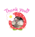 My,リトルファム4（個別スタンプ：5）