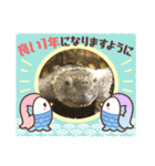 お正月のスタンプかめきち（個別スタンプ：2）