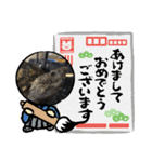 お正月のスタンプかめきち（個別スタンプ：7）