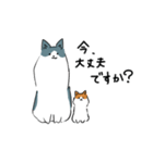 ノルウェージャンx子猫と一緒（個別スタンプ：29）