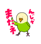 コトリがなんか言ってるスタンプ（個別スタンプ：5）