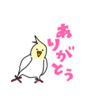 コトリがなんか言ってるスタンプ（個別スタンプ：11）