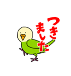 コトリがなんか言ってるスタンプ（個別スタンプ：13）