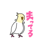 コトリがなんか言ってるスタンプ（個別スタンプ：19）