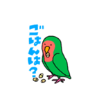 コトリがなんか言ってるスタンプ（個別スタンプ：24）