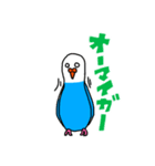 コトリがなんか言ってるスタンプ（個別スタンプ：30）