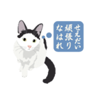 古いナニワ言葉をつぶやく猫（個別スタンプ：1）