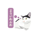 古いナニワ言葉をつぶやく猫（個別スタンプ：2）