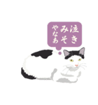 古いナニワ言葉をつぶやく猫（個別スタンプ：4）