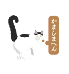 古いナニワ言葉をつぶやく猫（個別スタンプ：5）