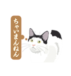 古いナニワ言葉をつぶやく猫（個別スタンプ：10）