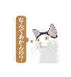 古いナニワ言葉をつぶやく猫（個別スタンプ：15）