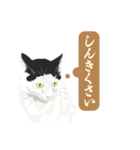 古いナニワ言葉をつぶやく猫（個別スタンプ：18）