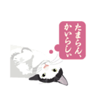 古いナニワ言葉をつぶやく猫（個別スタンプ：19）