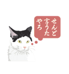 古いナニワ言葉をつぶやく猫（個別スタンプ：20）